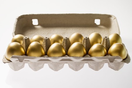 Risultati immagini per gallina dalle uova d oro