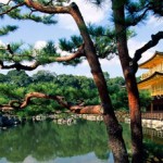 kyoto_japan kyoto_japan