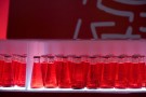 Target price Campari alzato da Nomura Target price Campari alzato da Nomura