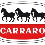 dati 2011 gruppo carraro dati 2011 gruppo carraro