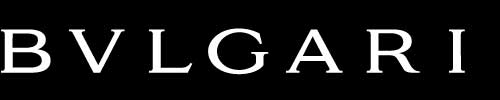 BULGARI_LOGO_SPACE